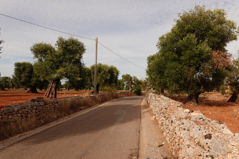 Mon voyage à Fasano dans les Pouilles en Italie