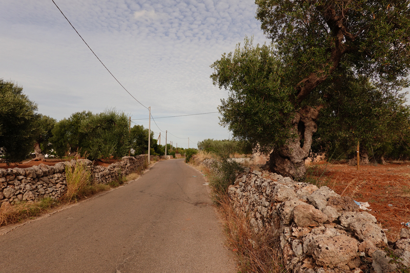 Mon voyage à Fasano dans les Pouilles en Italie