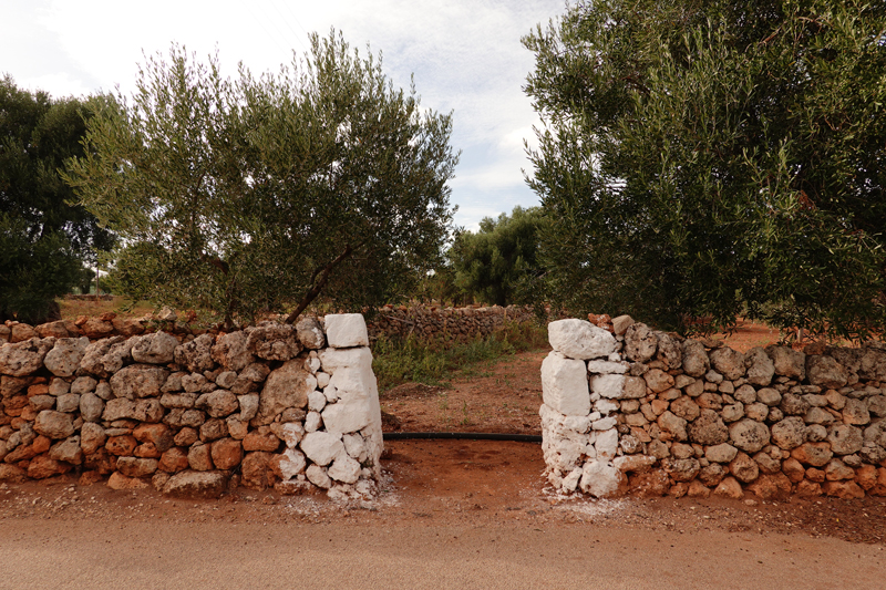 Mon voyage à Fasano dans les Pouilles en Italie