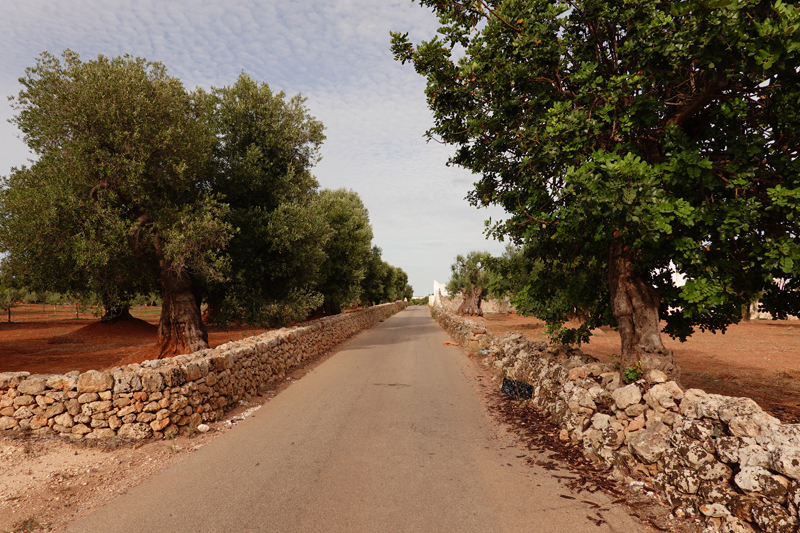 Mon voyage à Fasano dans les Pouilles en Italie