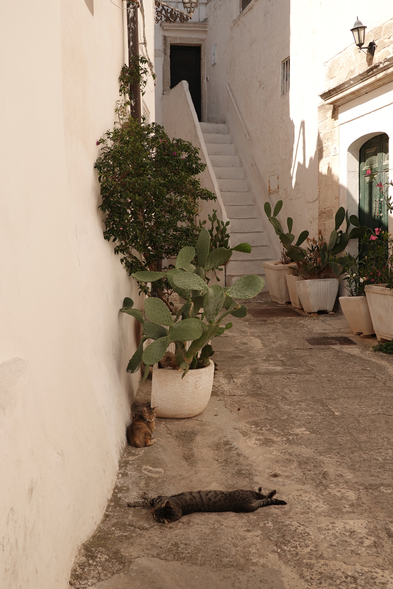 Mon voyage à Ostuni dans les Pouilles en Italie