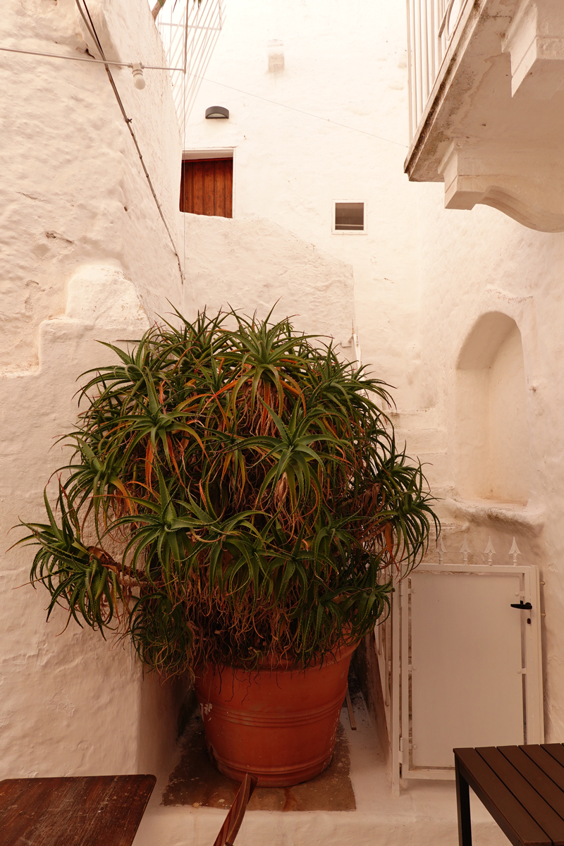 Mon voyage à Ostuni dans les Pouilles en Italie