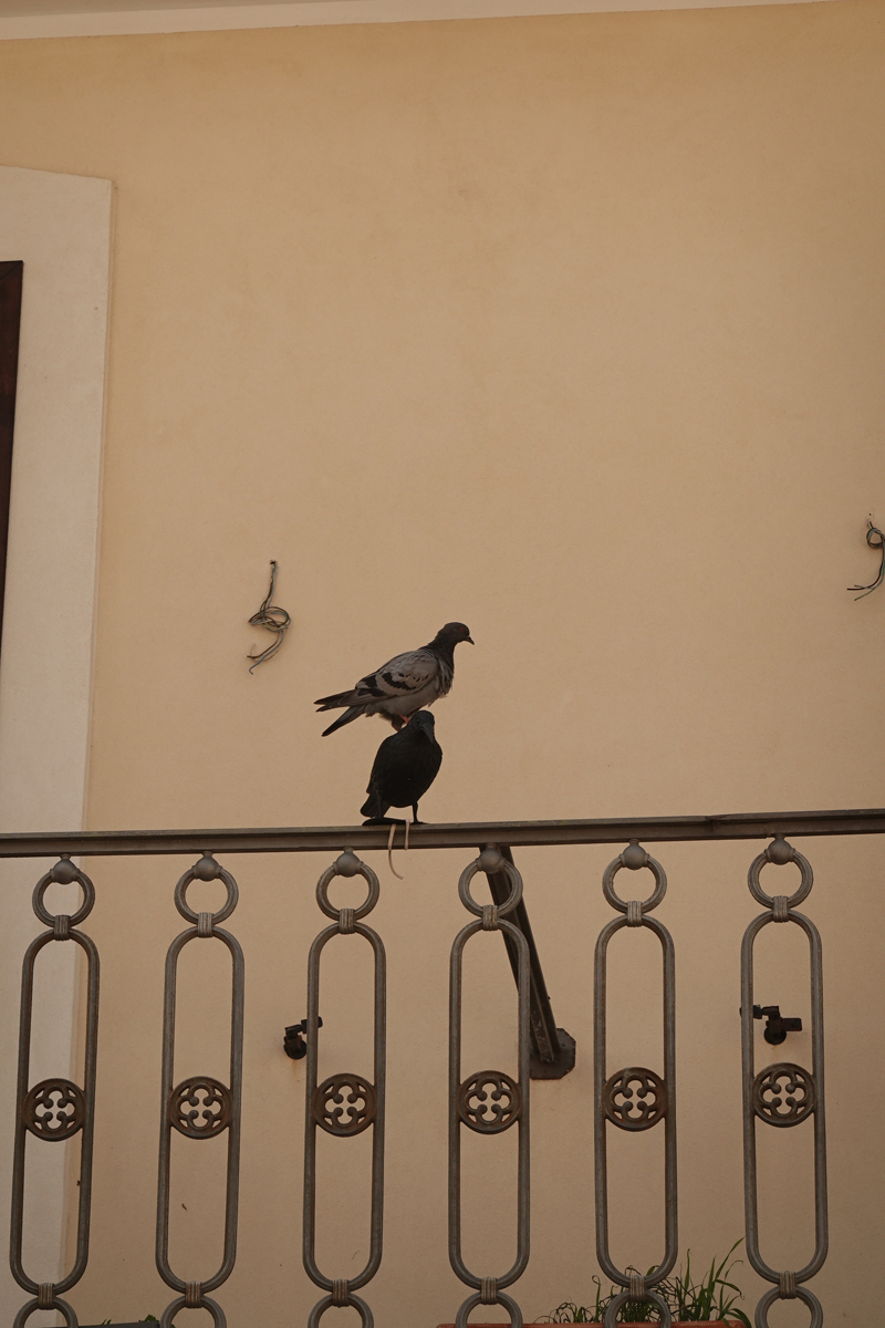 Mon voyage à Brindisi dans les Pouilles en Italie