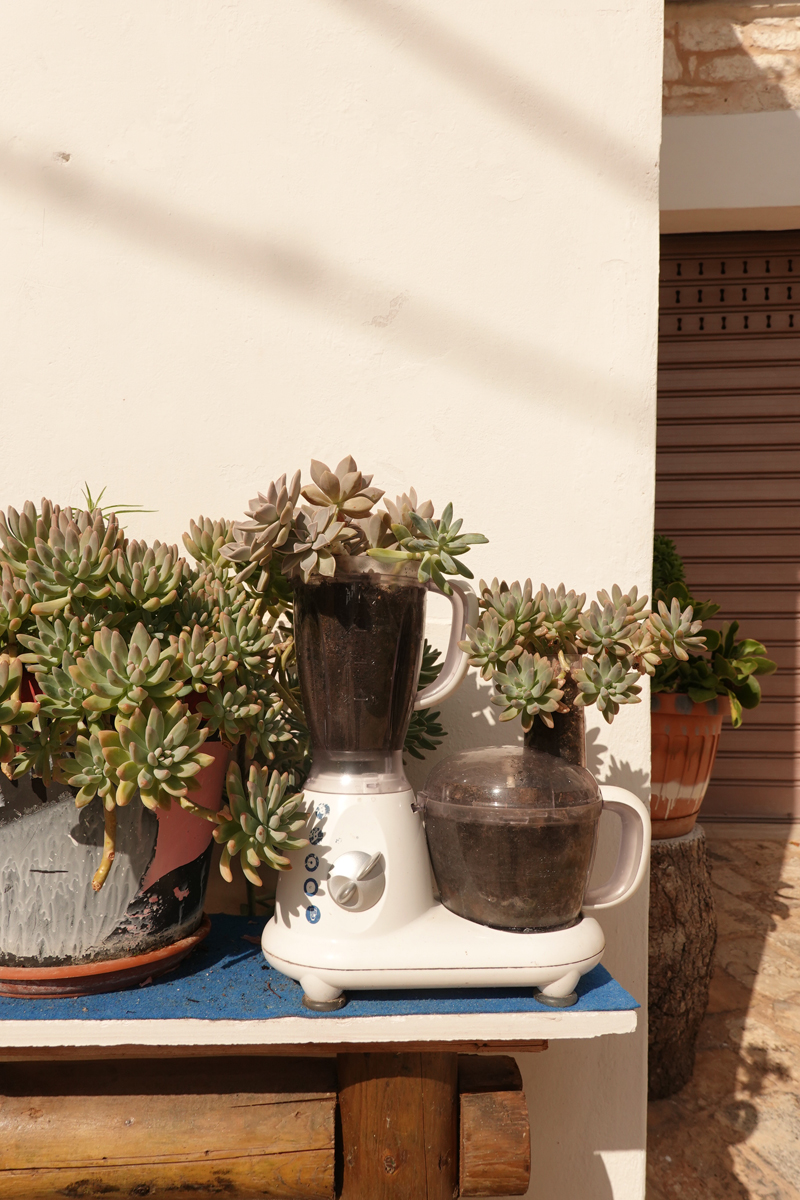 Mon voyage à Carovigno dans les Pouilles en Italie