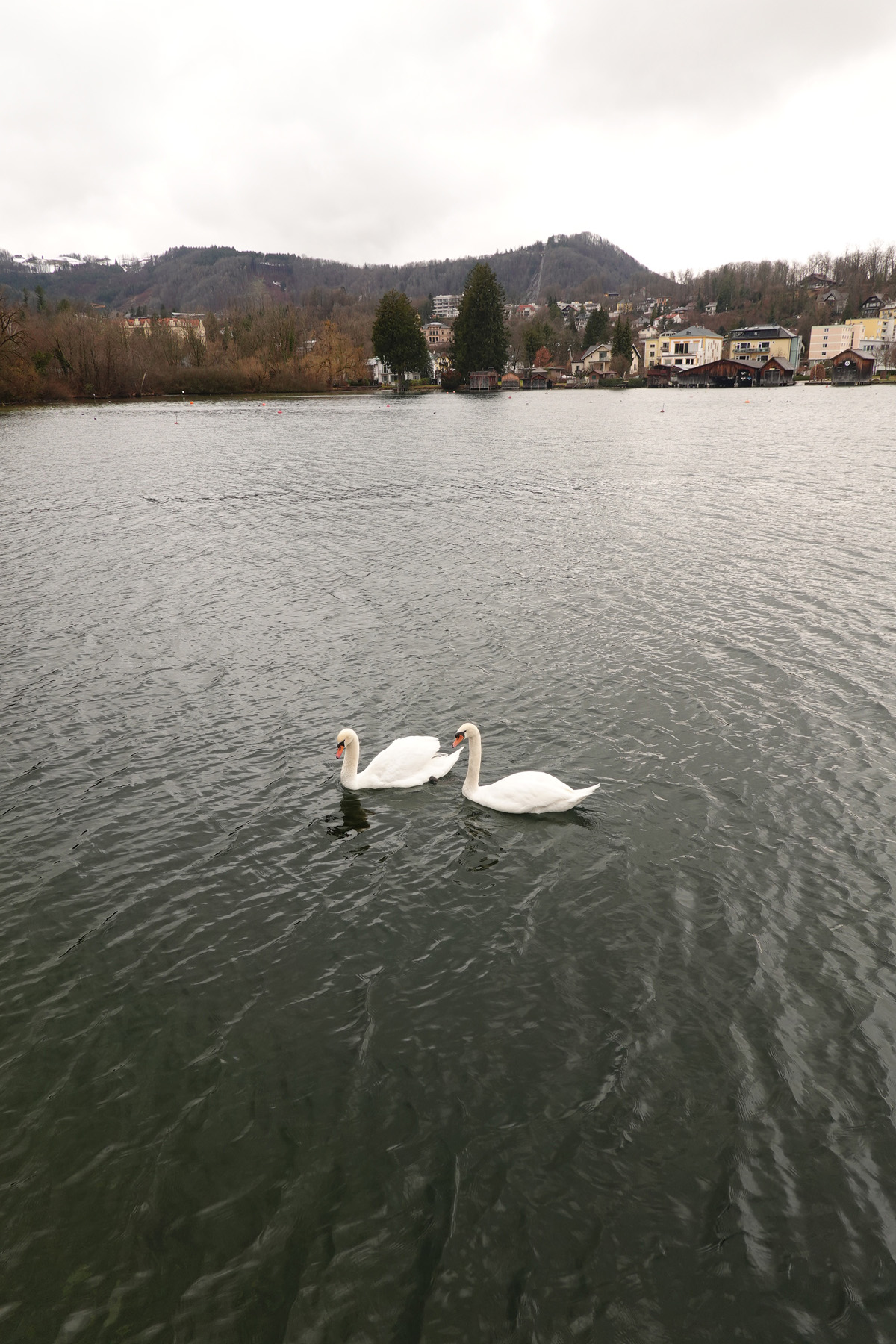 Mon voyage à Gmunden en Autriche