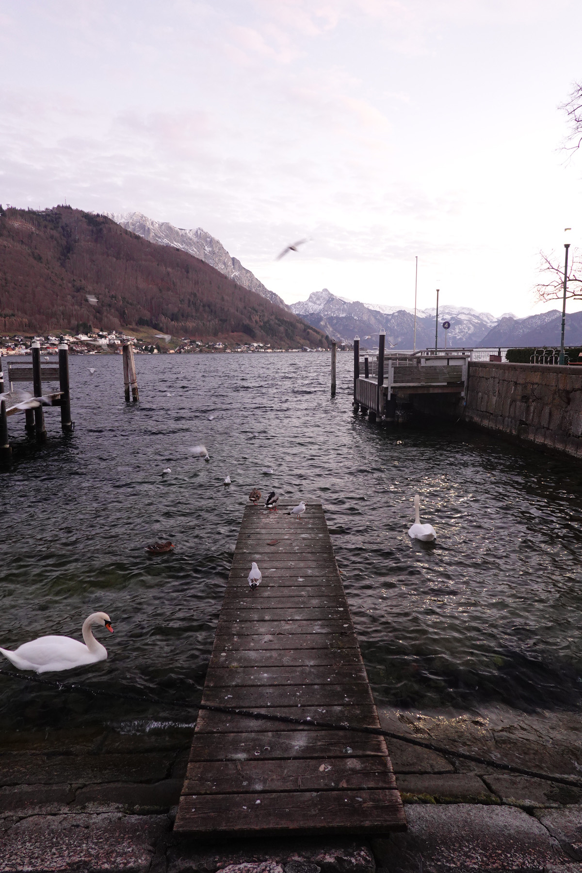 Mon voyage à Gmunden en Autriche