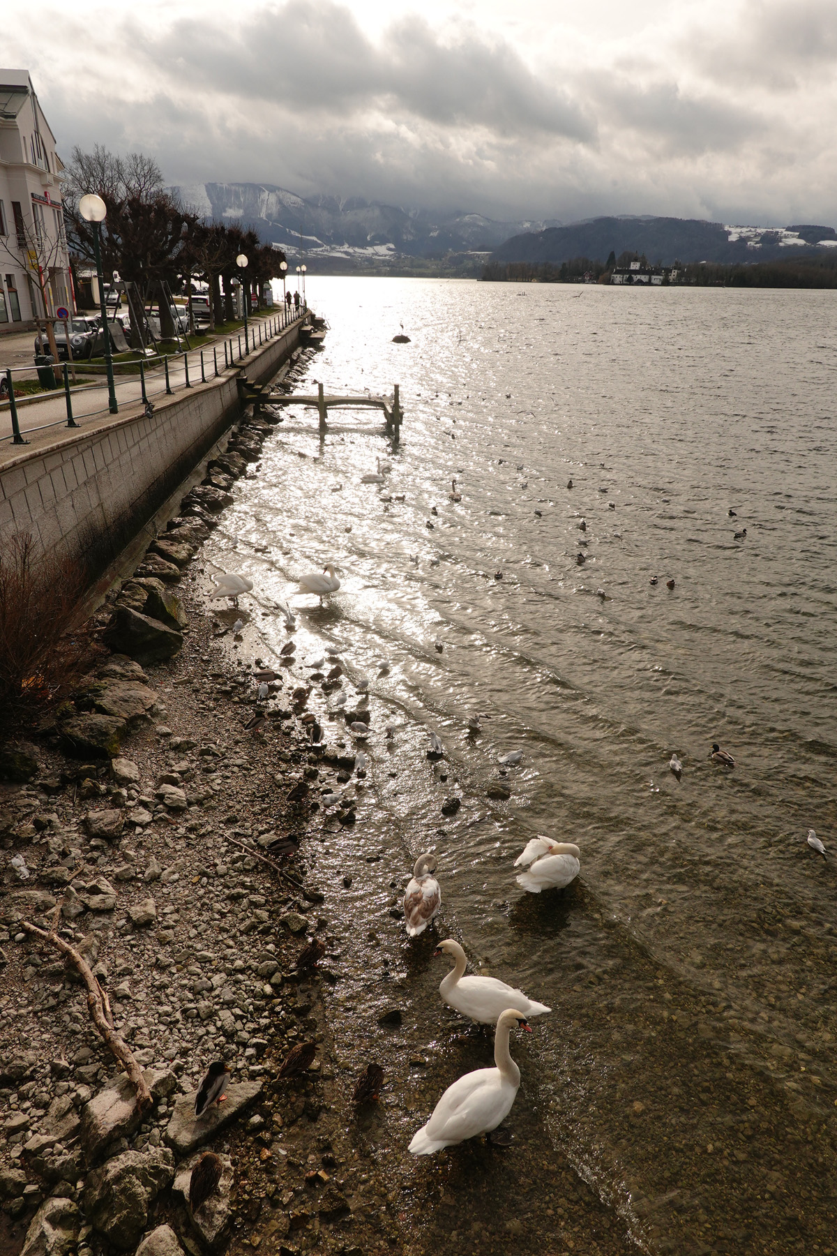 Mon voyage à Gmunden en Autriche