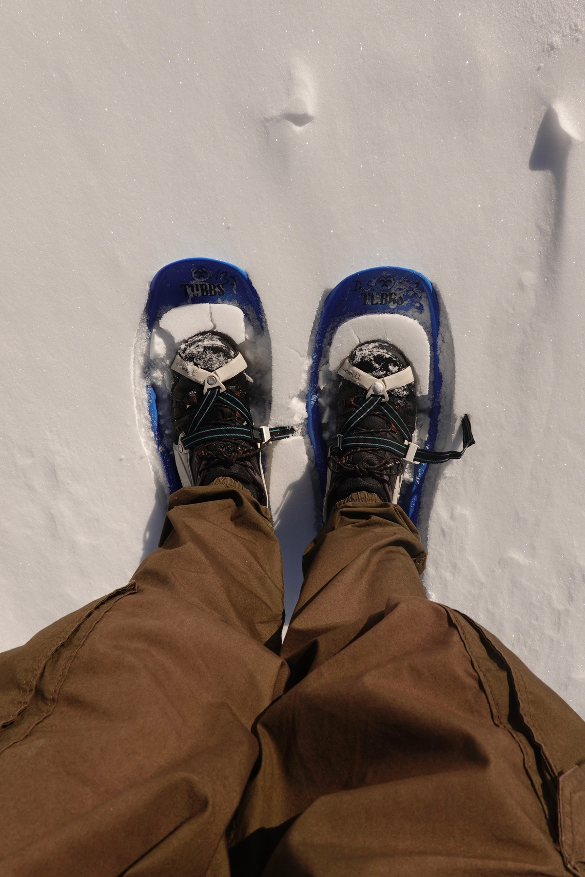 Mon voyage à Five Finger, Dachstein en Autriche