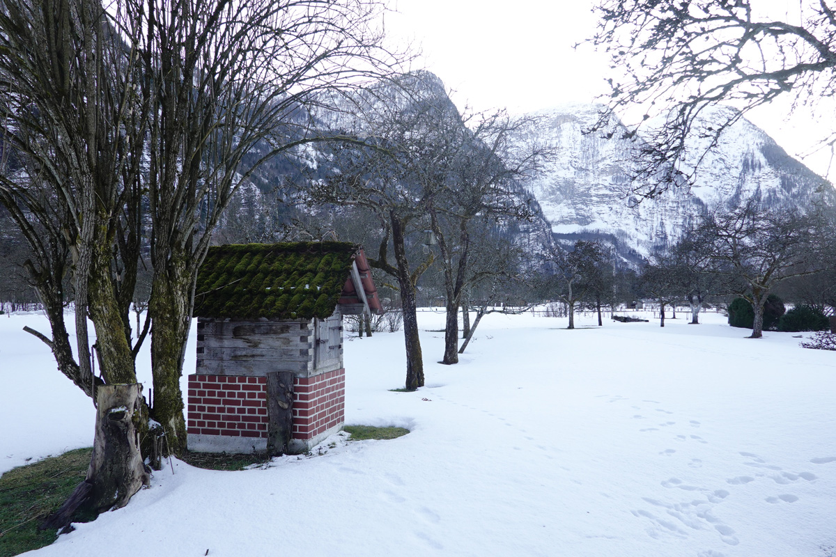 Mon voyage à Obertraun en Autriche