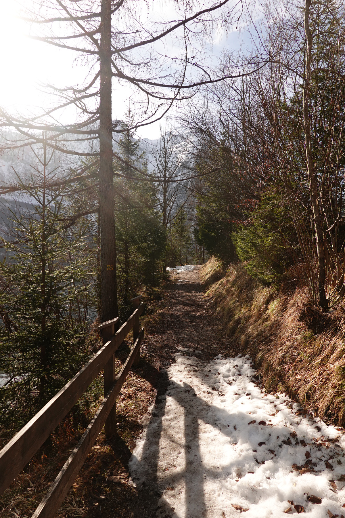 Mon voyage à Obertraun en Autriche