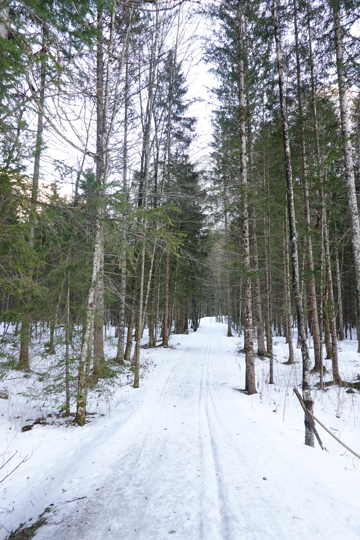 Mon voyage à Obertraun en Autriche