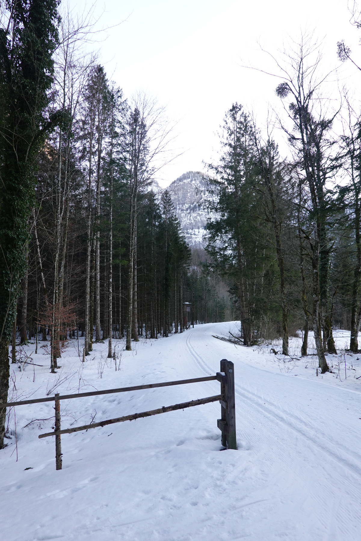 Mon voyage à Obertraun en Autriche