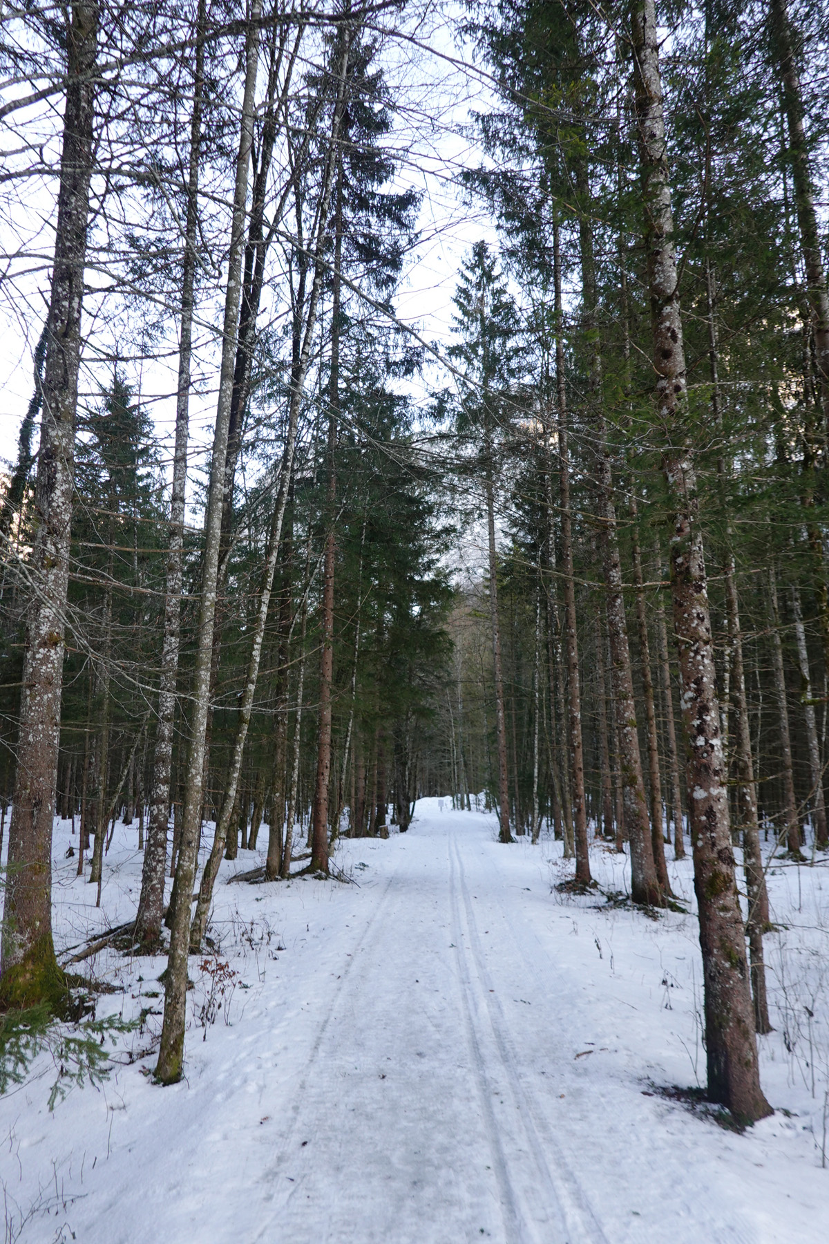 Mon voyage à Obertraun en Autriche