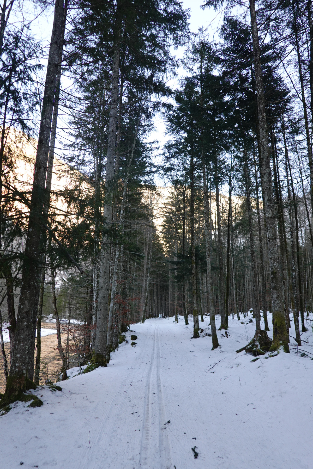 Mon voyage à Obertraun en Autriche