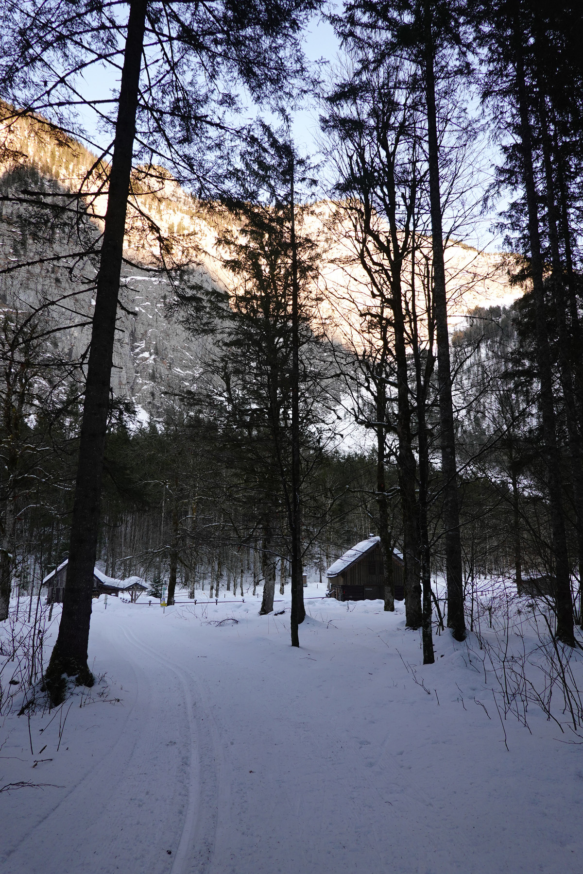 Mon voyage à Obertraun en Autriche