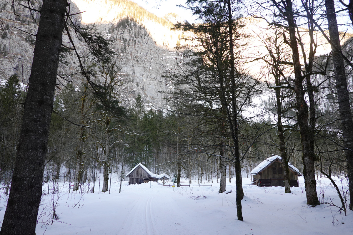 Mon voyage à Obertraun en Autriche