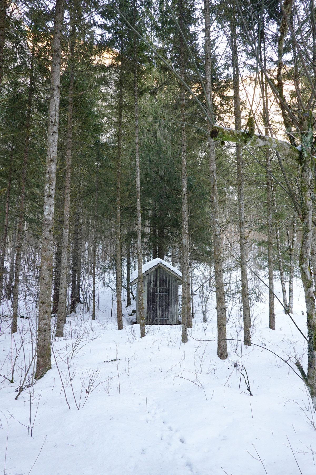 Mon voyage à Obertraun en Autriche