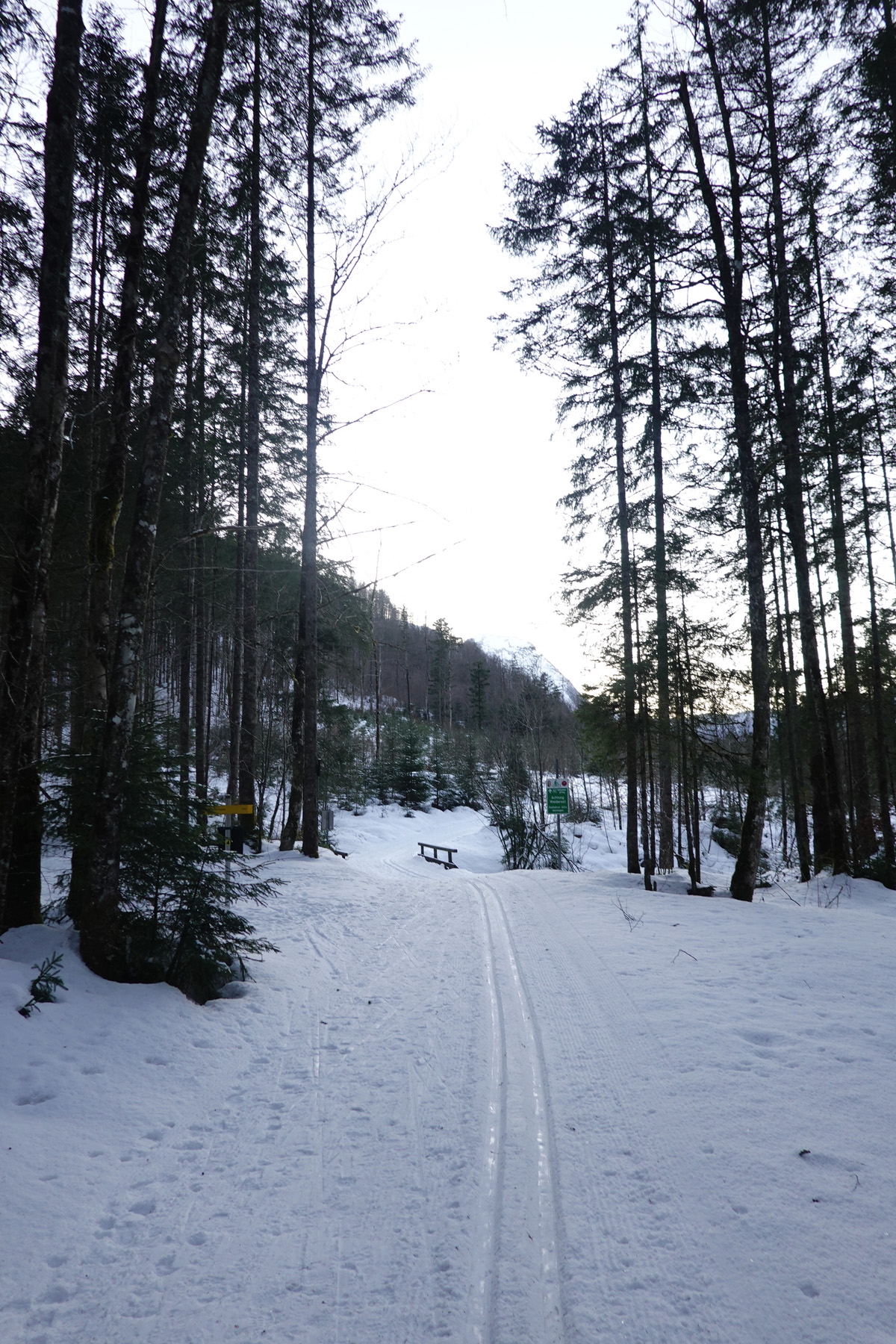 Mon voyage à Obertraun en Autriche