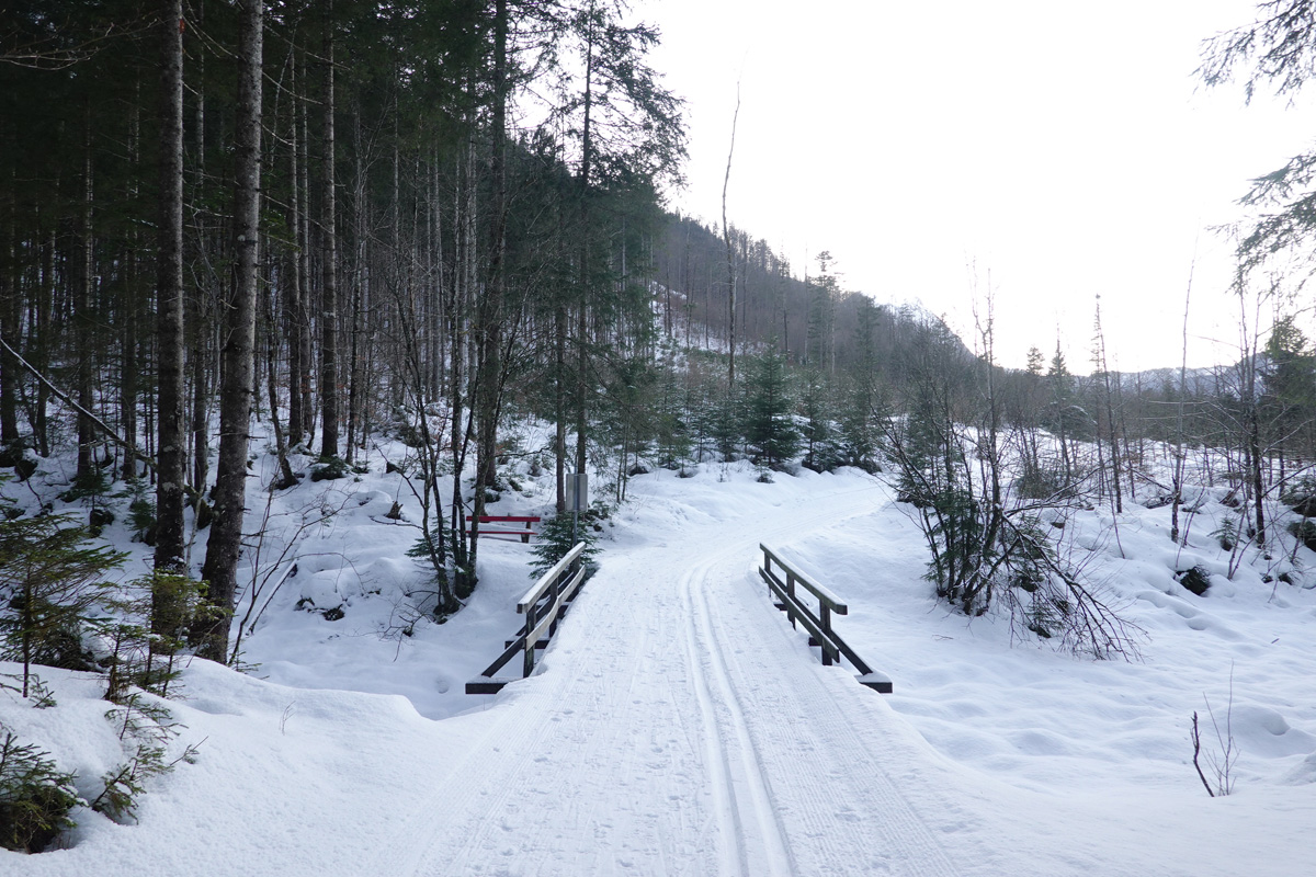 Mon voyage à Obertraun en Autriche