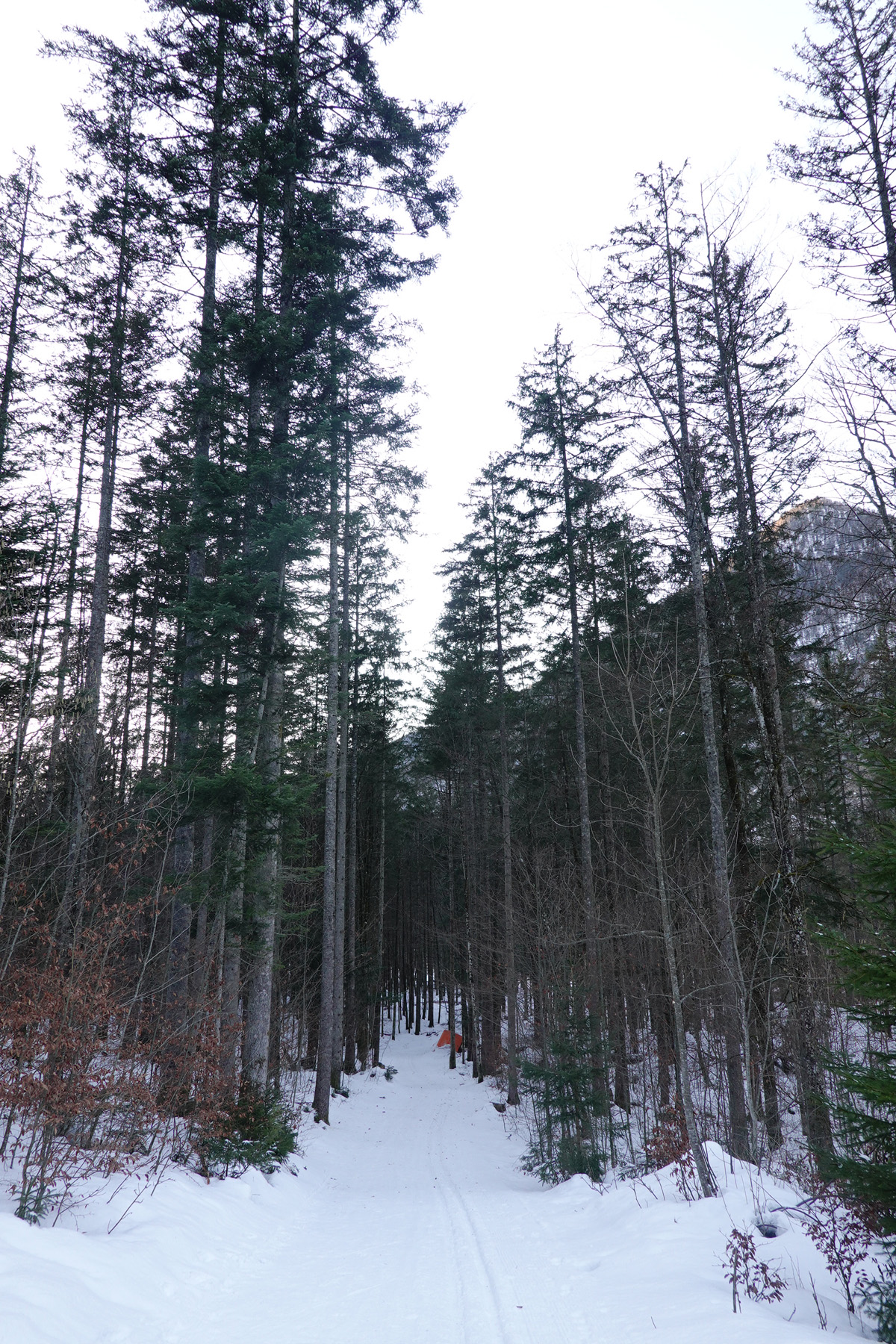 Mon voyage à Obertraun en Autriche