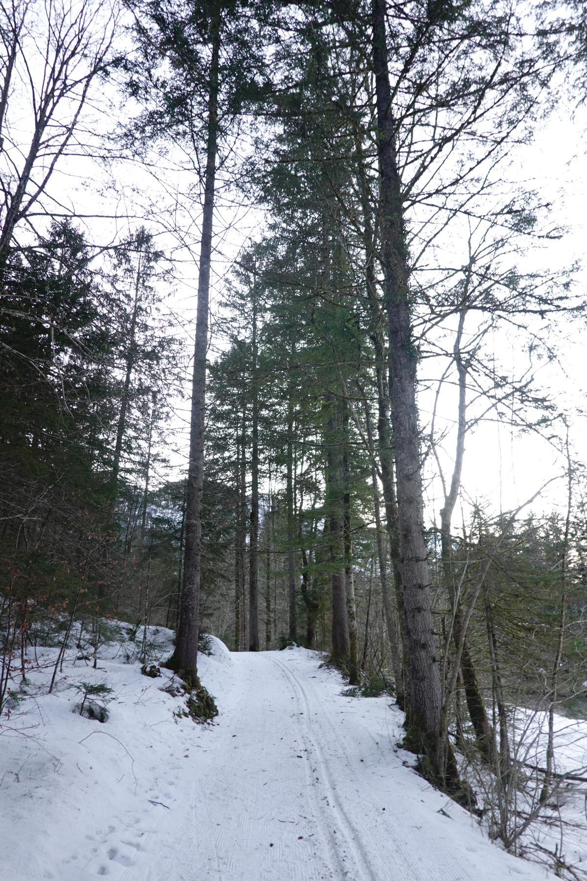 Mon voyage à Obertraun en Autriche