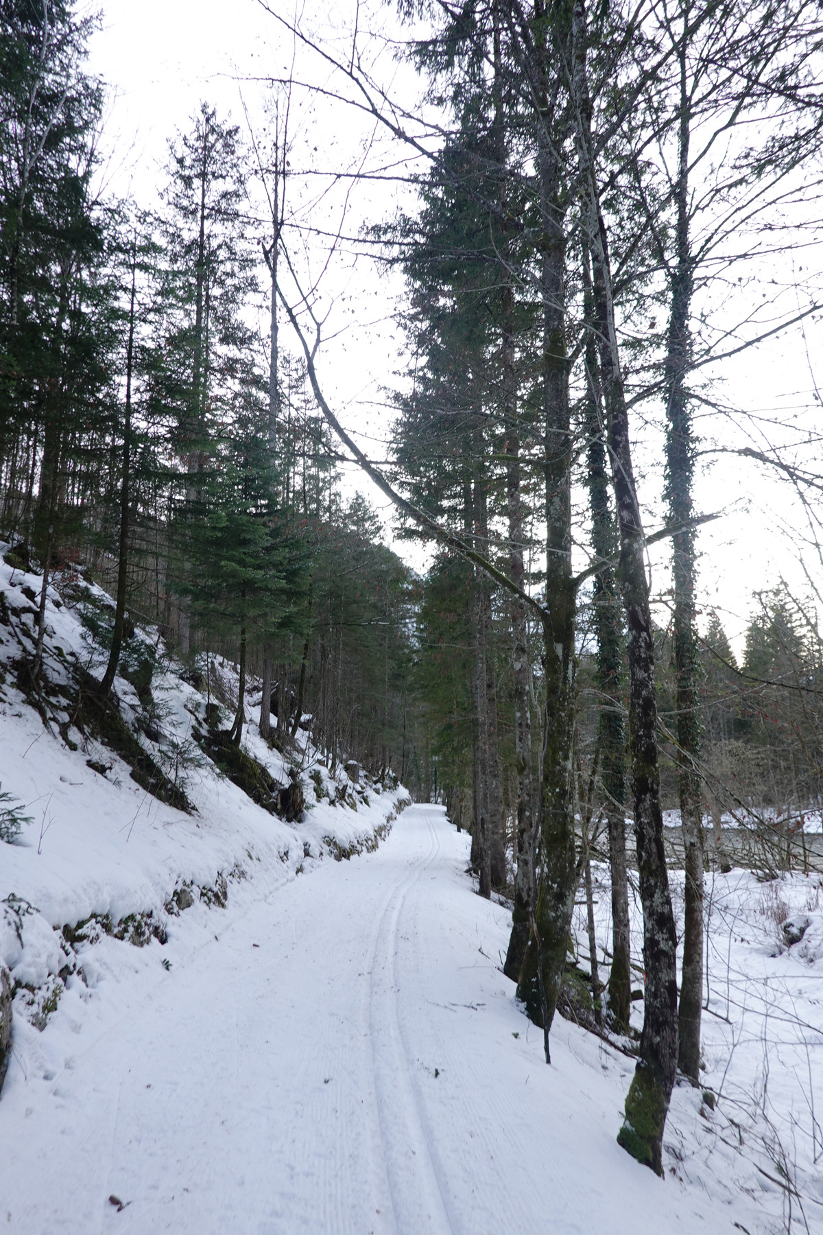 Mon voyage à Obertraun en Autriche