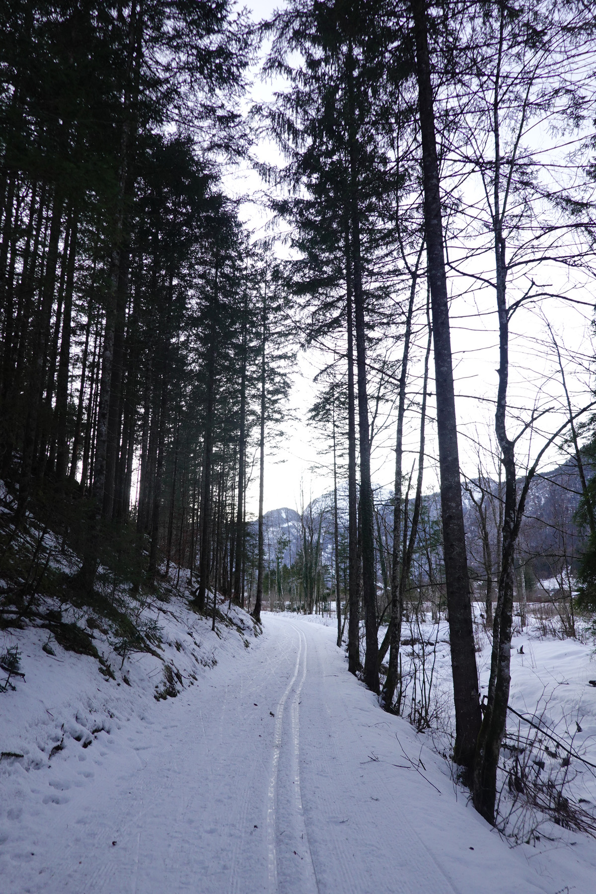 Mon voyage à Obertraun en Autriche