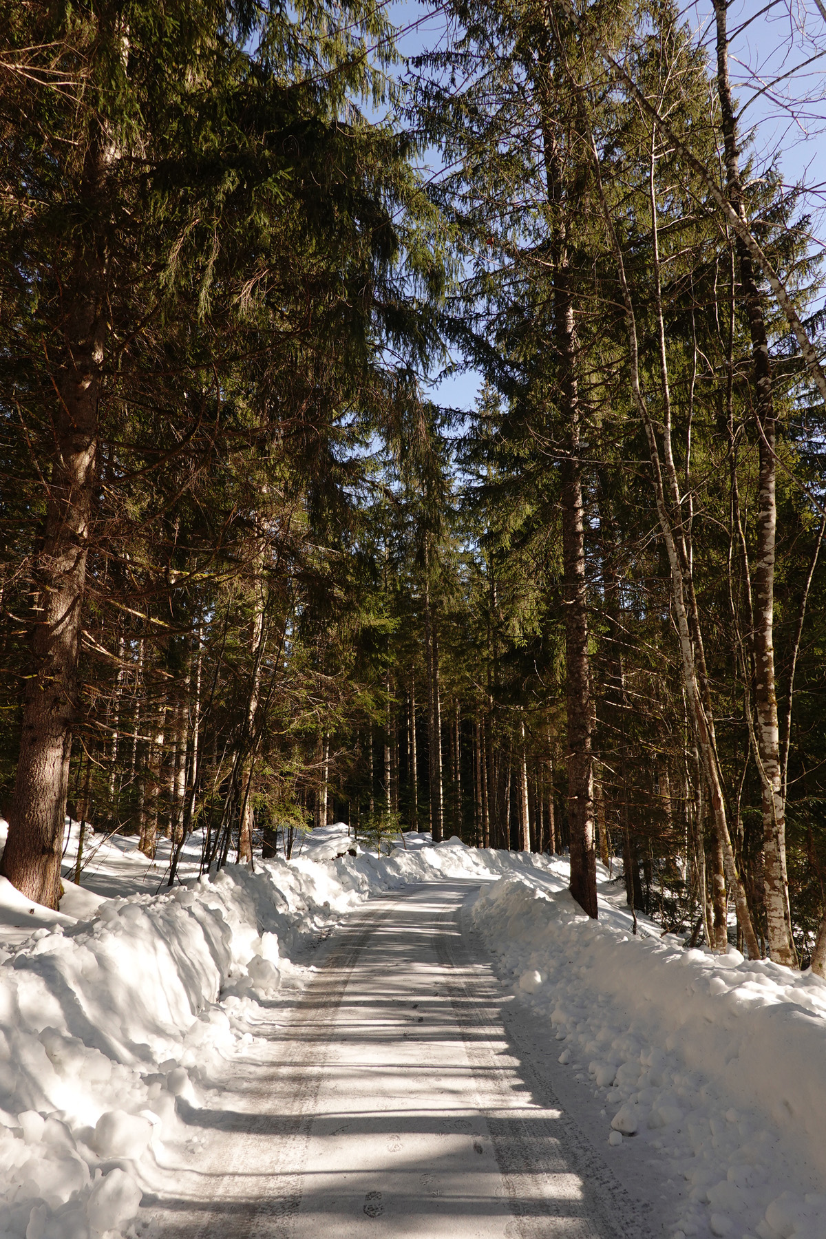 Mon voyage aux lacs à Gosau en Autriche