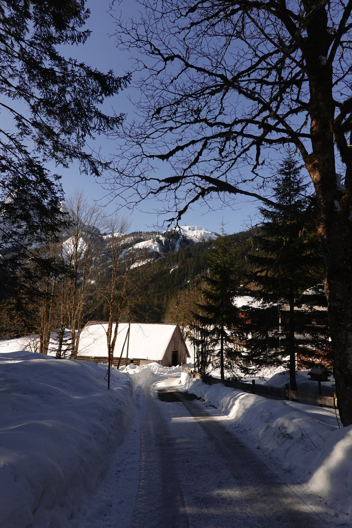 Mon voyage aux lacs à Gosau en Autriche