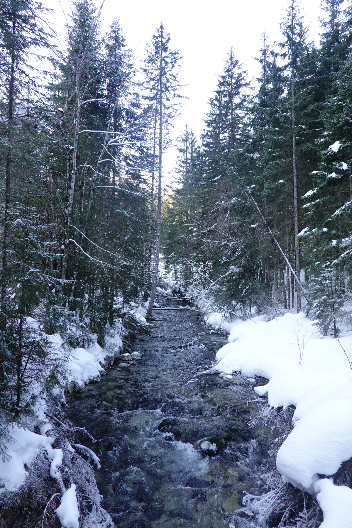 Mon voyage aux lacs à Gosau en Autriche