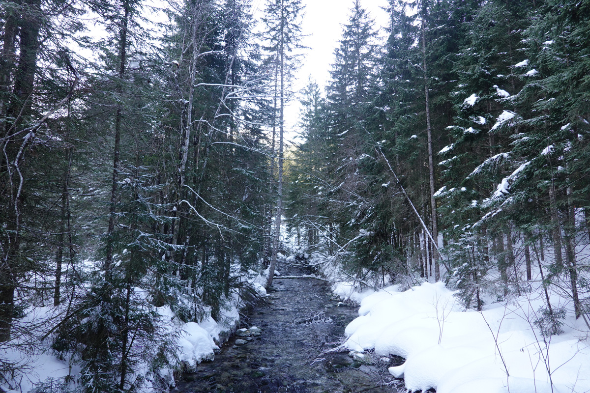 Mon voyage aux lacs à Gosau en Autriche