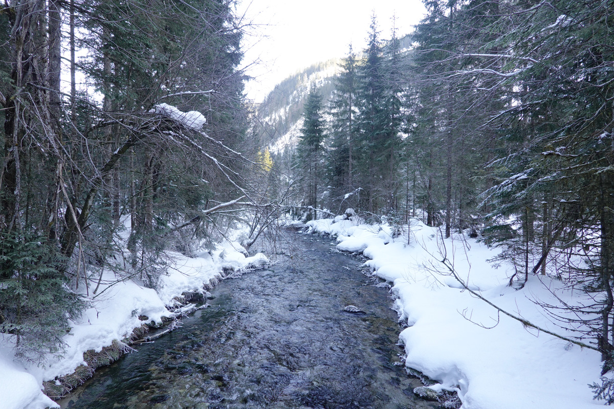 Mon voyage aux lacs à Gosau en Autriche