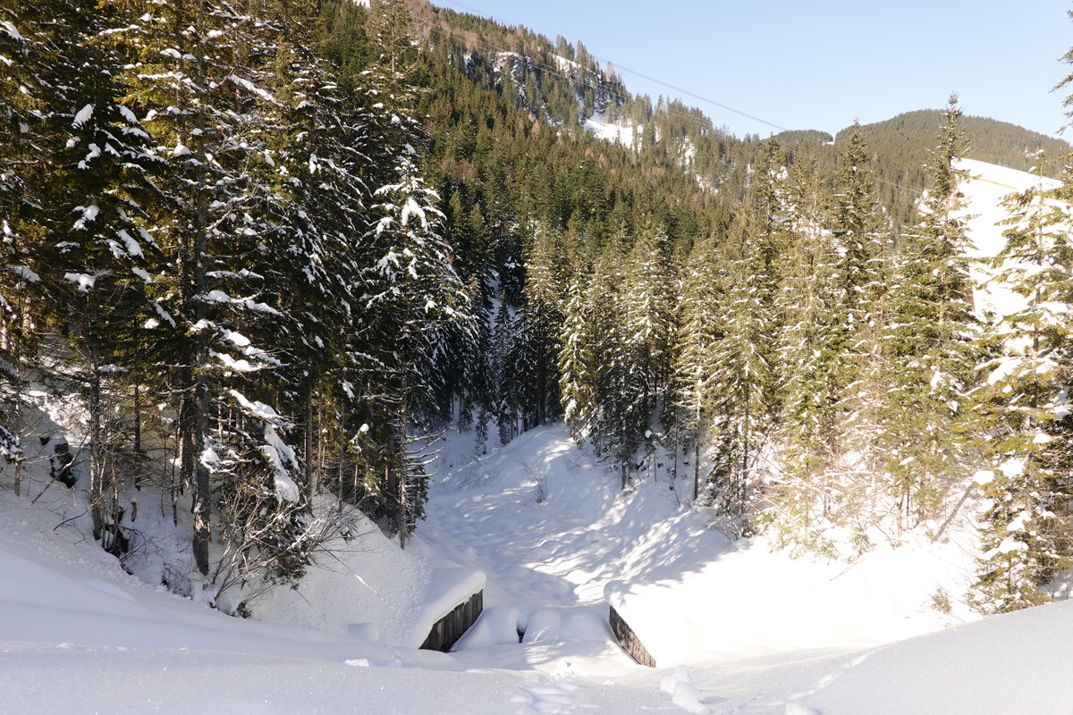 Mon voyage aux lacs à Gosau en Autriche