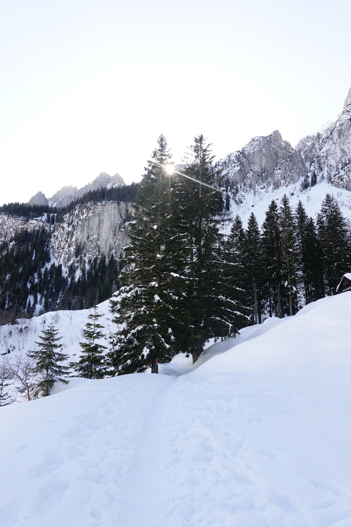 Mon voyage aux lacs à Gosau en Autriche