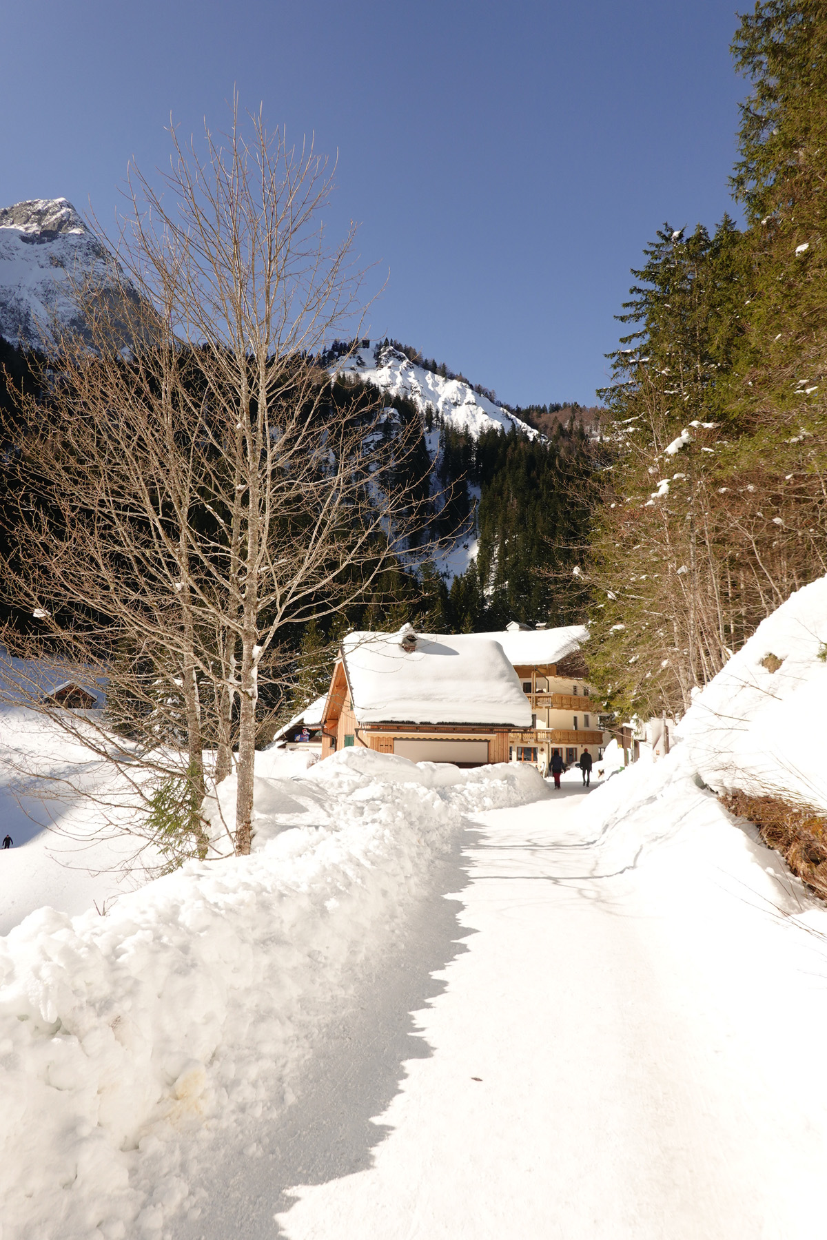 Mon voyage aux lacs à Gosau en Autriche