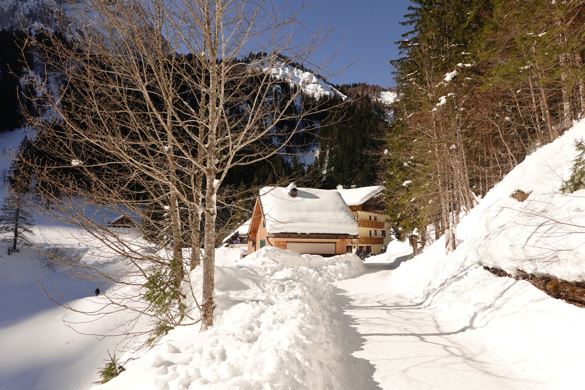 Mon voyage aux lacs à Gosau en Autriche