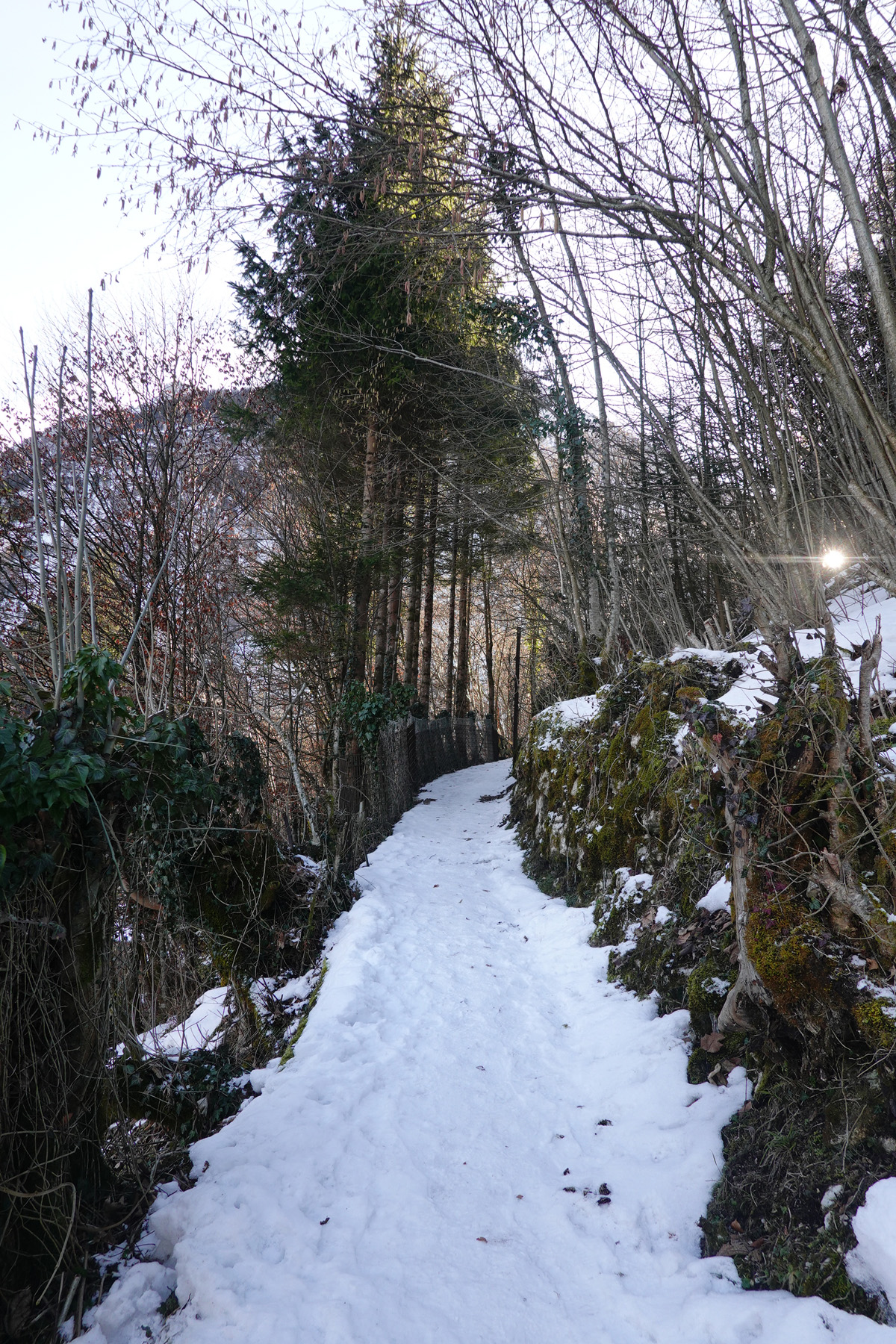 Mon voyage à Hallstatt en Autriche