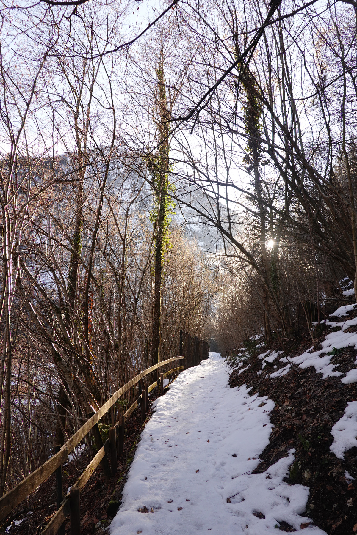 Mon voyage à Hallstatt en Autriche