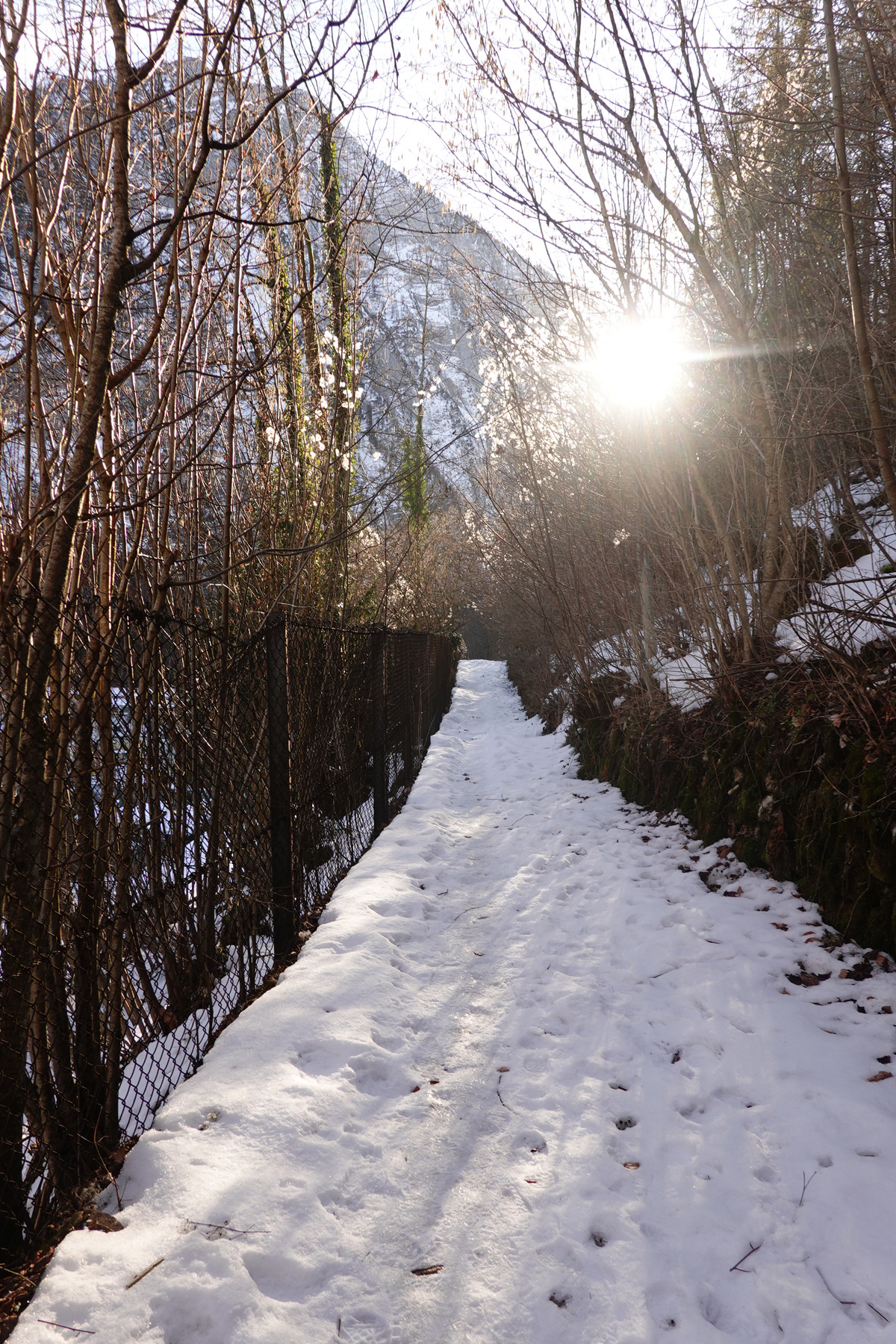 Mon voyage à Hallstatt en Autriche