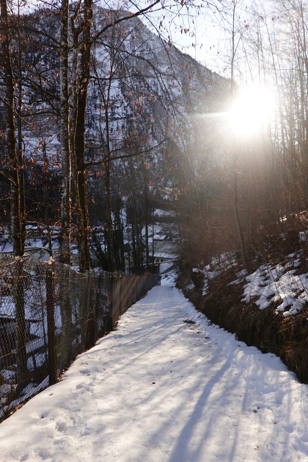 Mon voyage à Hallstatt en Autriche