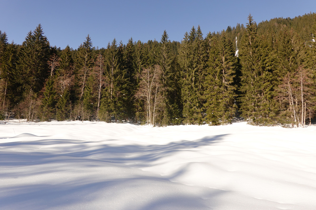 Mon voyage aux lacs à Gosau en Autriche