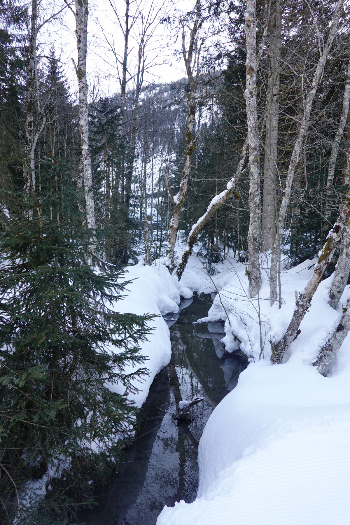 Mon voyage aux lacs à Gosau en Autriche