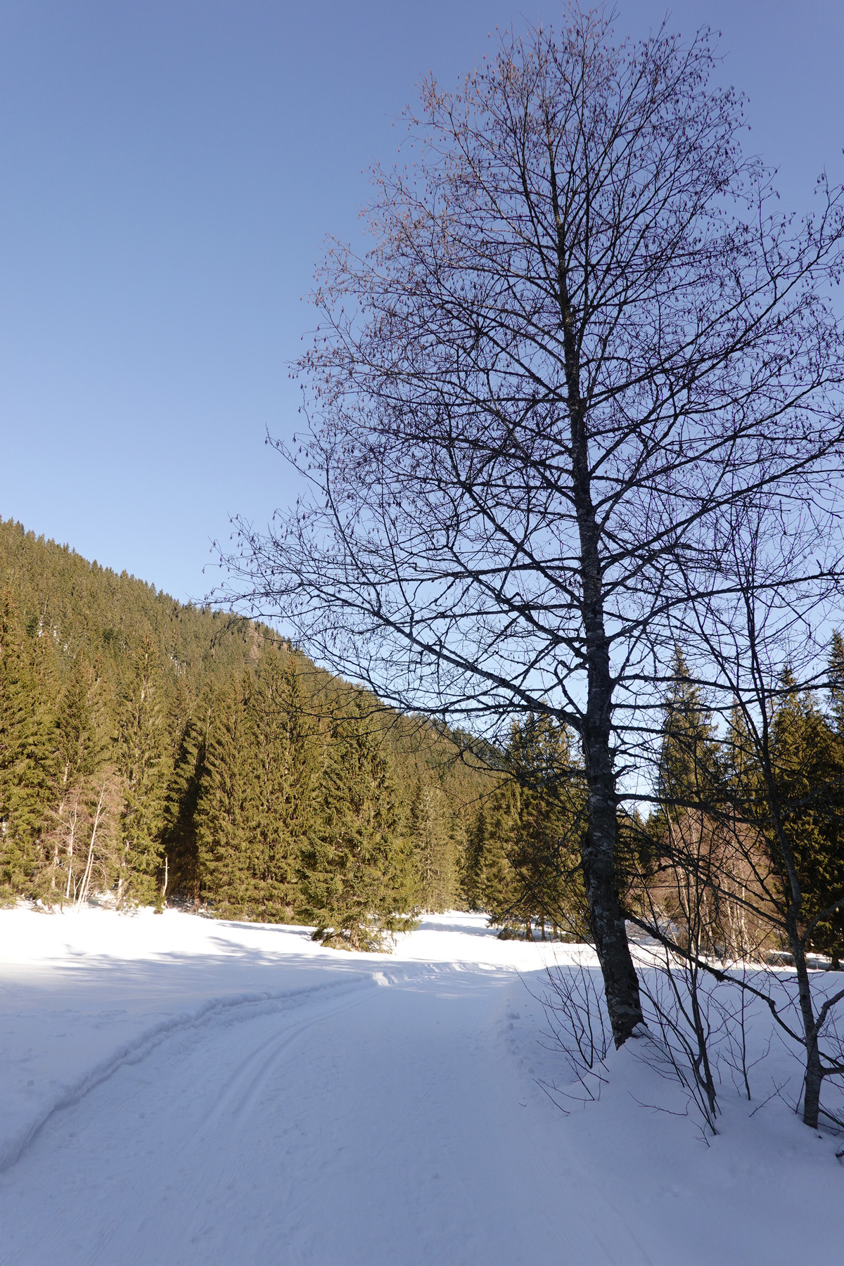 Mon voyage aux lacs à Gosau en Autriche