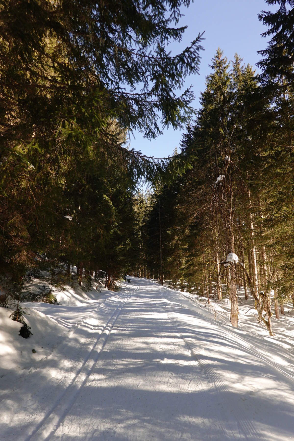 Mon voyage aux lacs à Gosau en Autriche