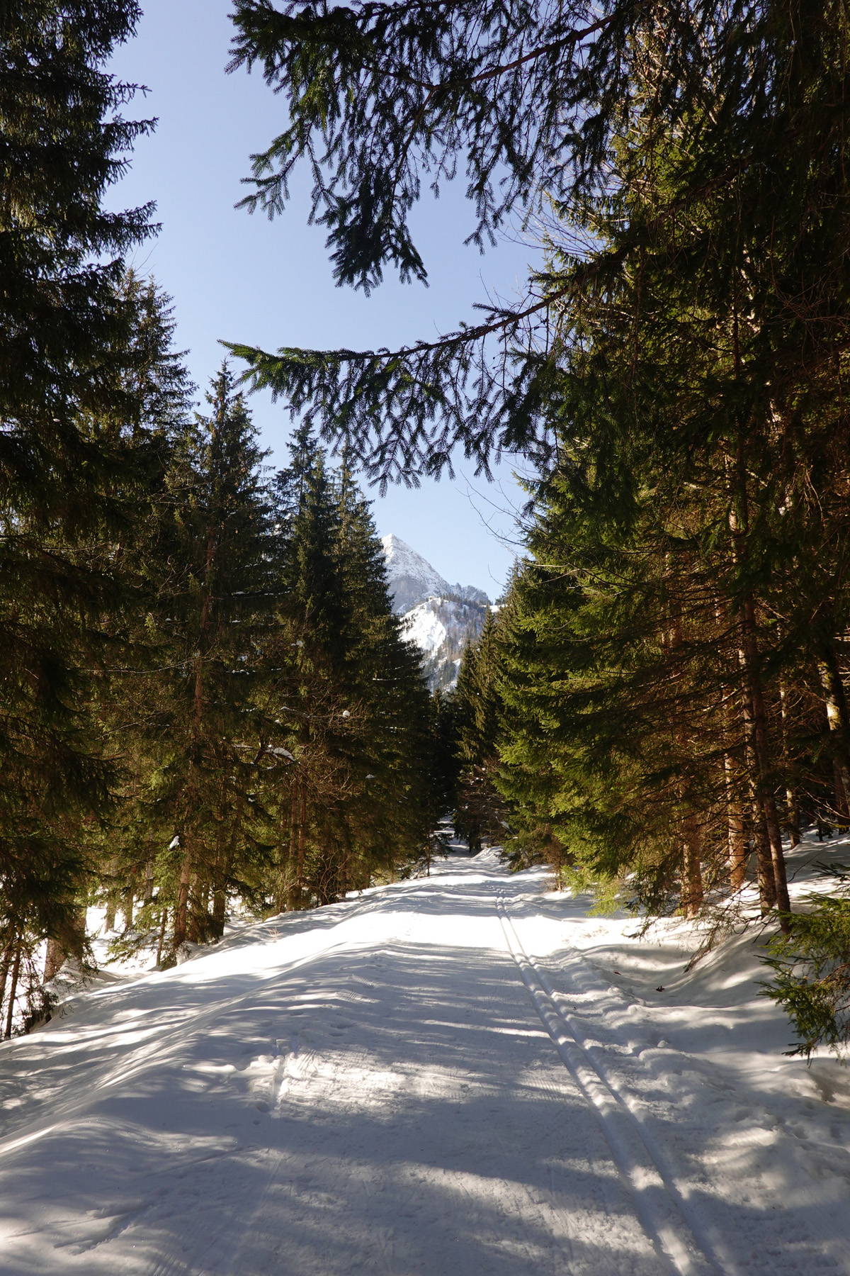 Mon voyage aux lacs à Gosau en Autriche