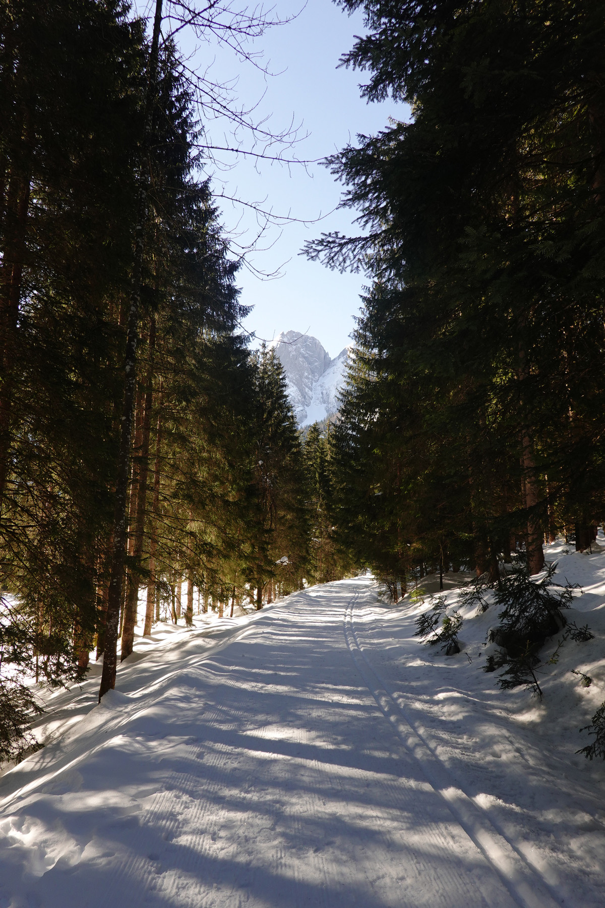 Mon voyage aux lacs à Gosau en Autriche