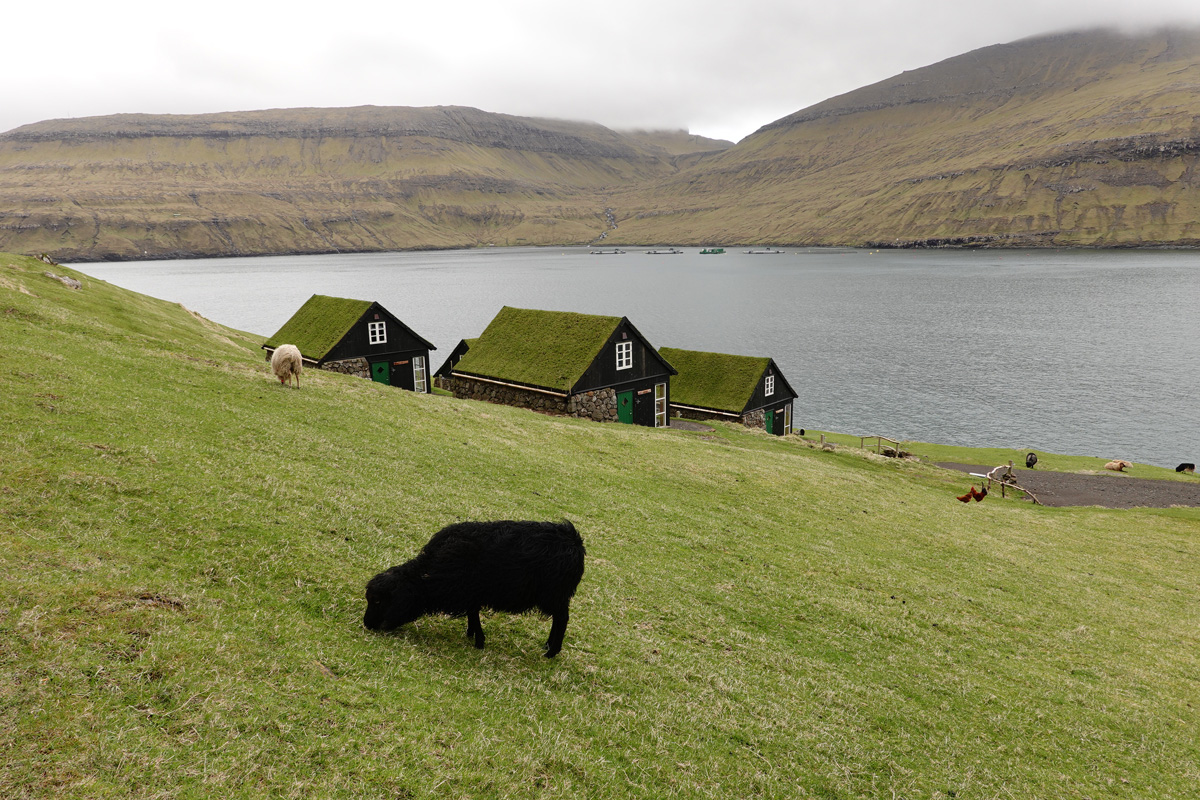 Mon voyage au village de Bøur sur l’île Vágar des Îles Féroé