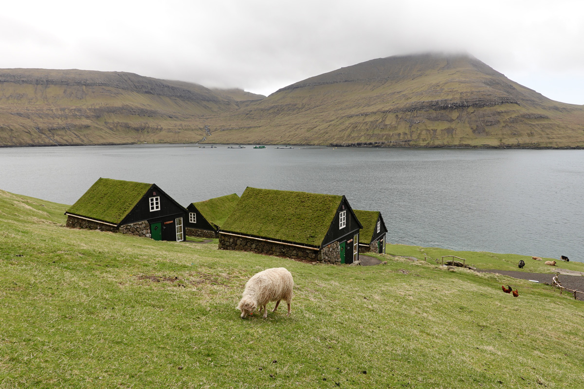 Mon voyage au village de Bøur sur l’île Vágar des Îles Féroé