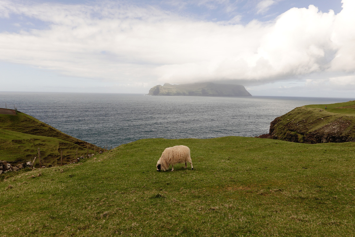 Mon voyage au village de Gásadalur sur l’île Vágar des Îles Féroé