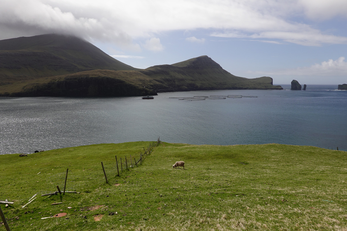 Mon voyage au village de Bøur sur l’île Vágar des Îles Féroé